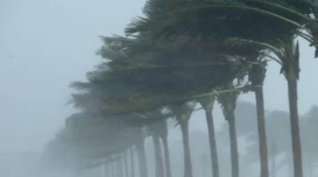 حالة الطقس اليوم: أجواء خريفية معتدلة ورياح نشطة مع ارتفاع حرارة القاهرة إلى 28 درجة